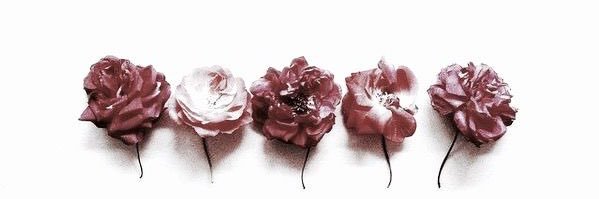 Apriljugueta's profile banner image