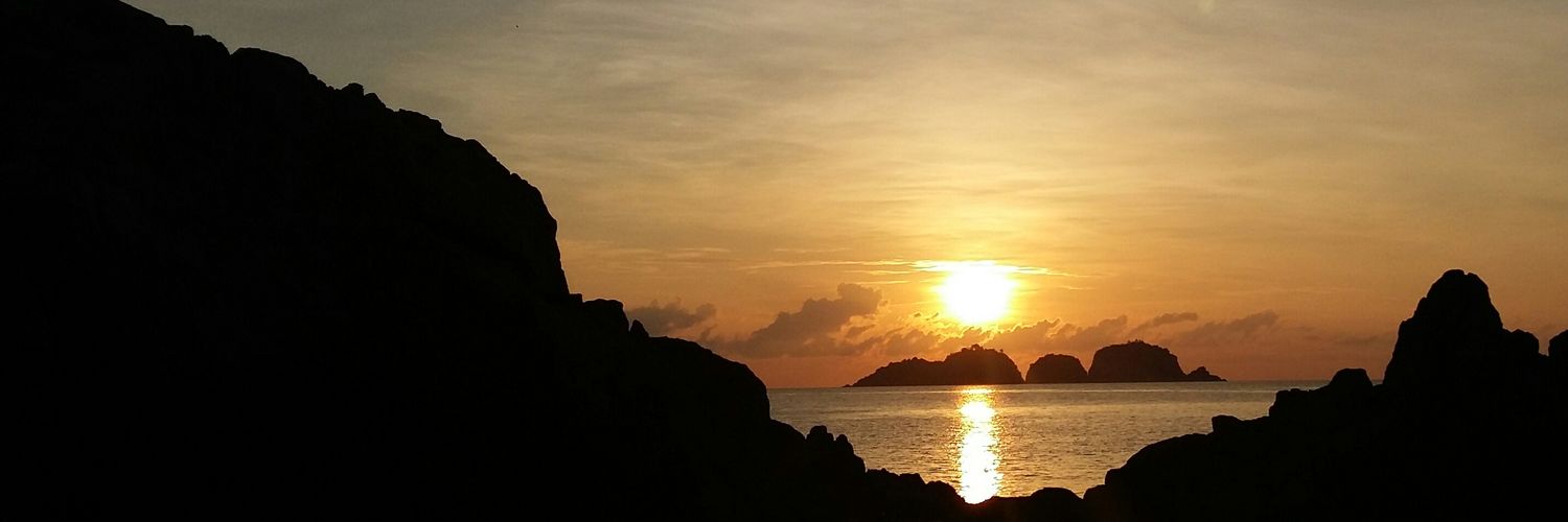 Lemon7ea's profile banner image
