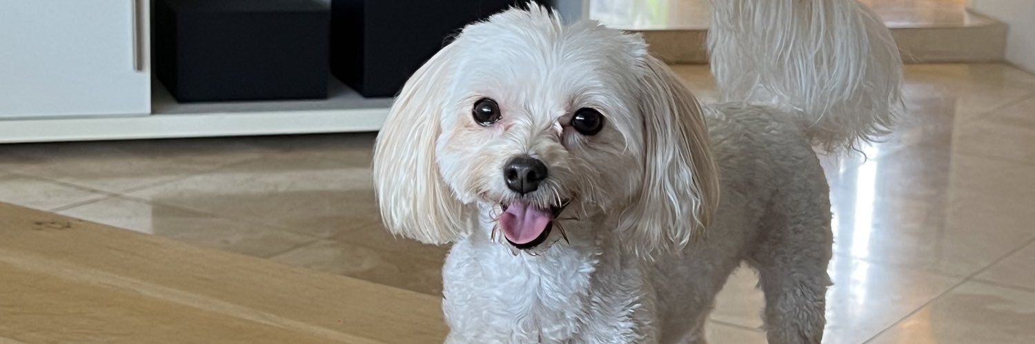 mariaylee's profile banner image