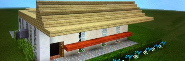 MineSkoolZ's profile banner image