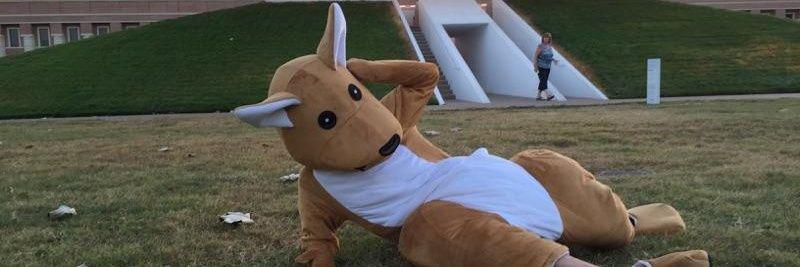 Duncaroos's profile banner image
