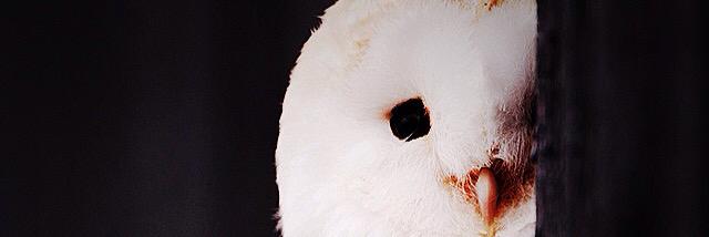 redha_27's profile banner image