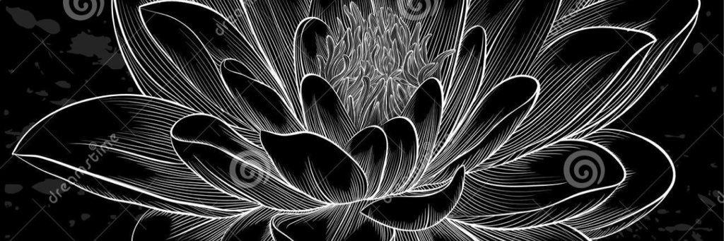 DahliaAzaria's profile banner image