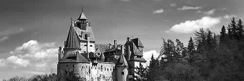 Rol Transilvania banner