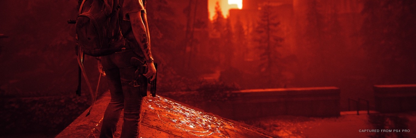 reeedlo's profile banner image
