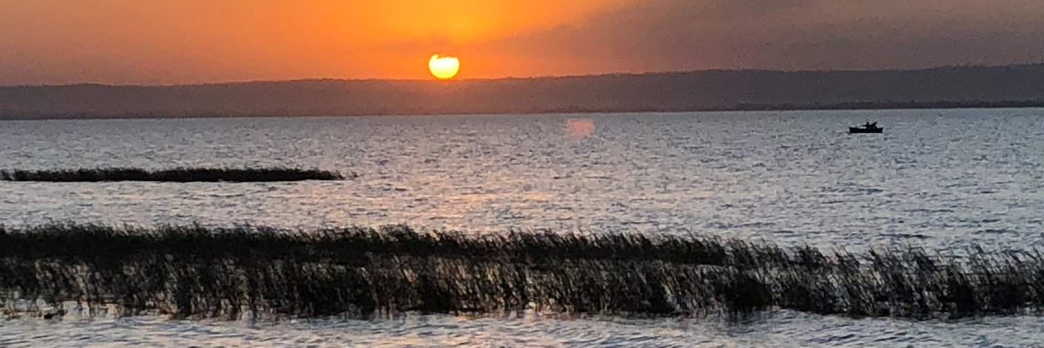 childpsychvt's profile banner image