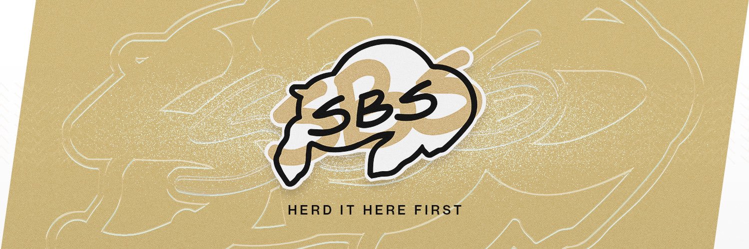 Sko Buffs Sports banner