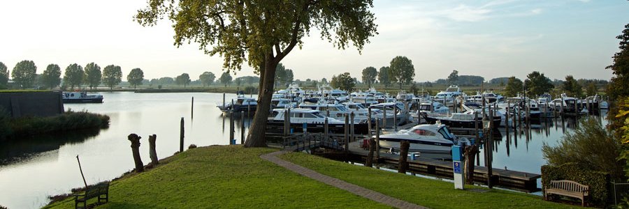 ReindeRuiter's profile banner image