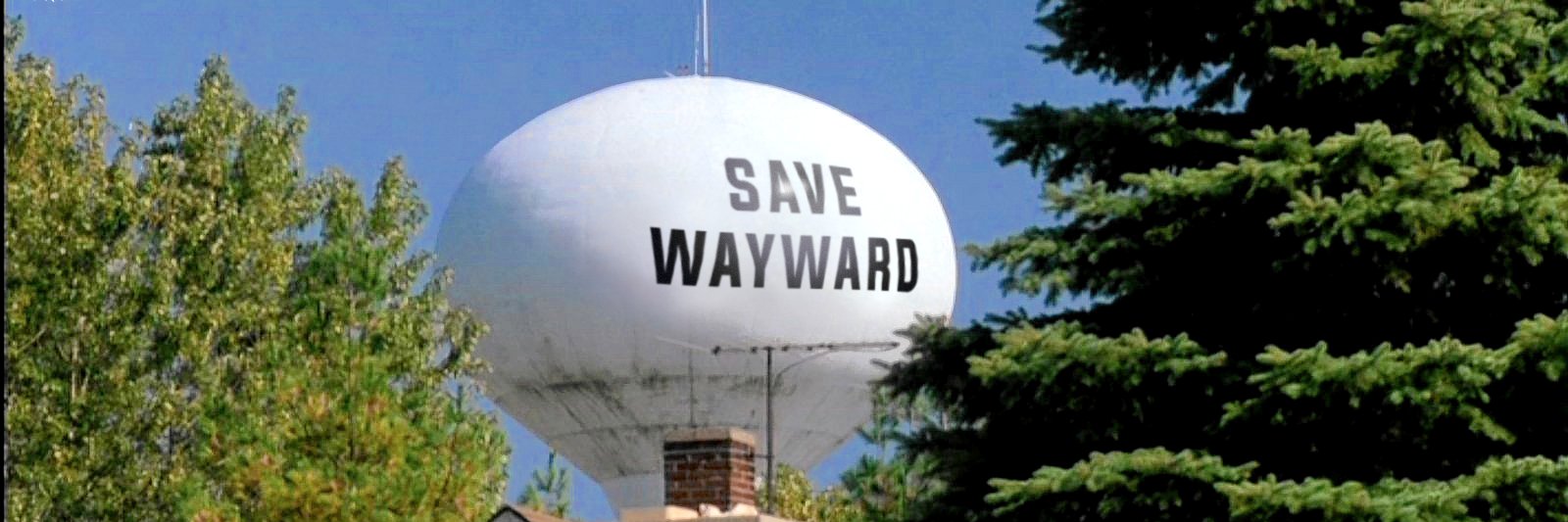 WaywardDaughtrs's profile banner image