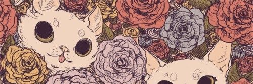 mdmorab's profile banner image
