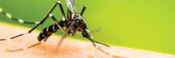 GlowDx Profile Banner