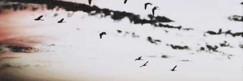 espinosagdrr's profile banner image