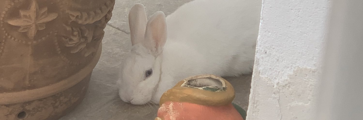 Hermeneps's profile banner image