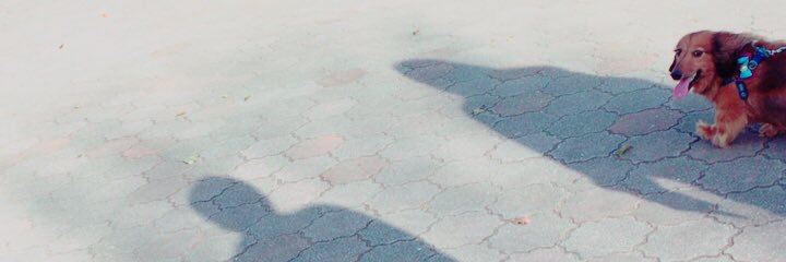 coco_k__713's profile banner image
