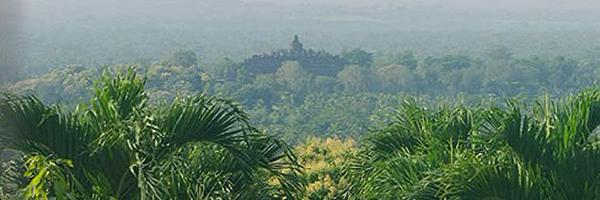 sedwongjowo Profile Banner