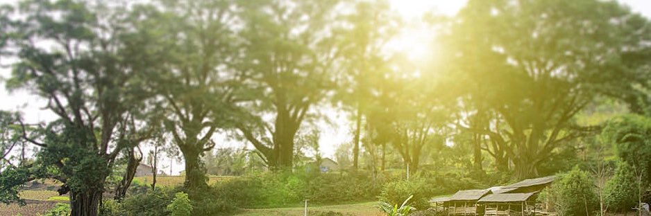 royalfar1995's profile banner image