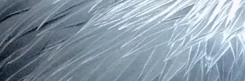PopSilvia's profile banner image