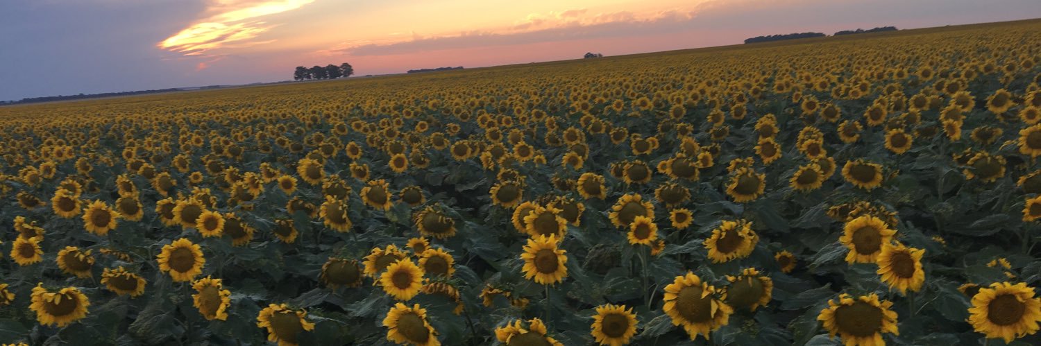 SolvanStrien's profile banner image