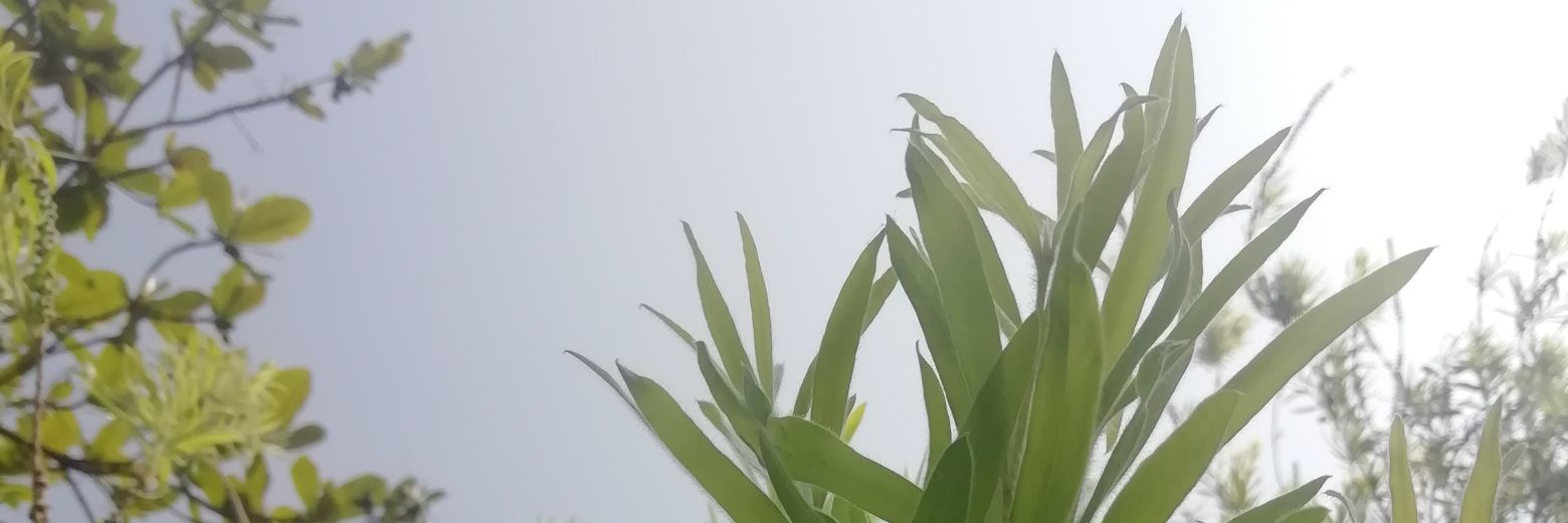 rupeshverse's profile banner image