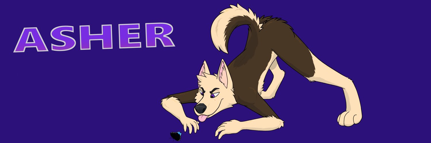 AsherGshep's profile banner image