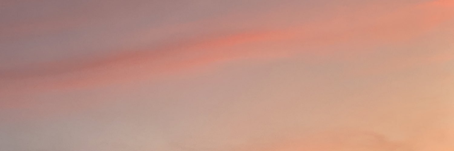 sofiacostaq's profile banner image