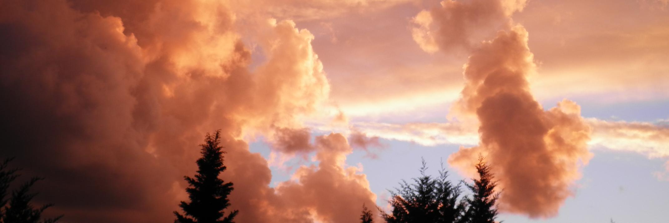Ire____________'s profile banner image