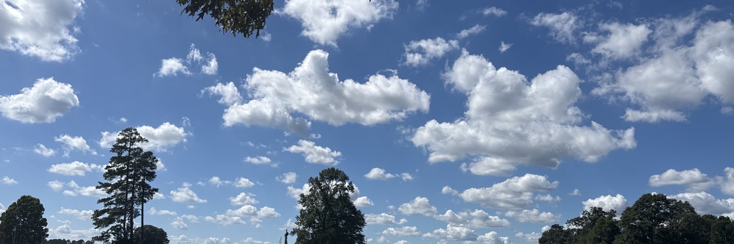 Destroyer of Liberals banner