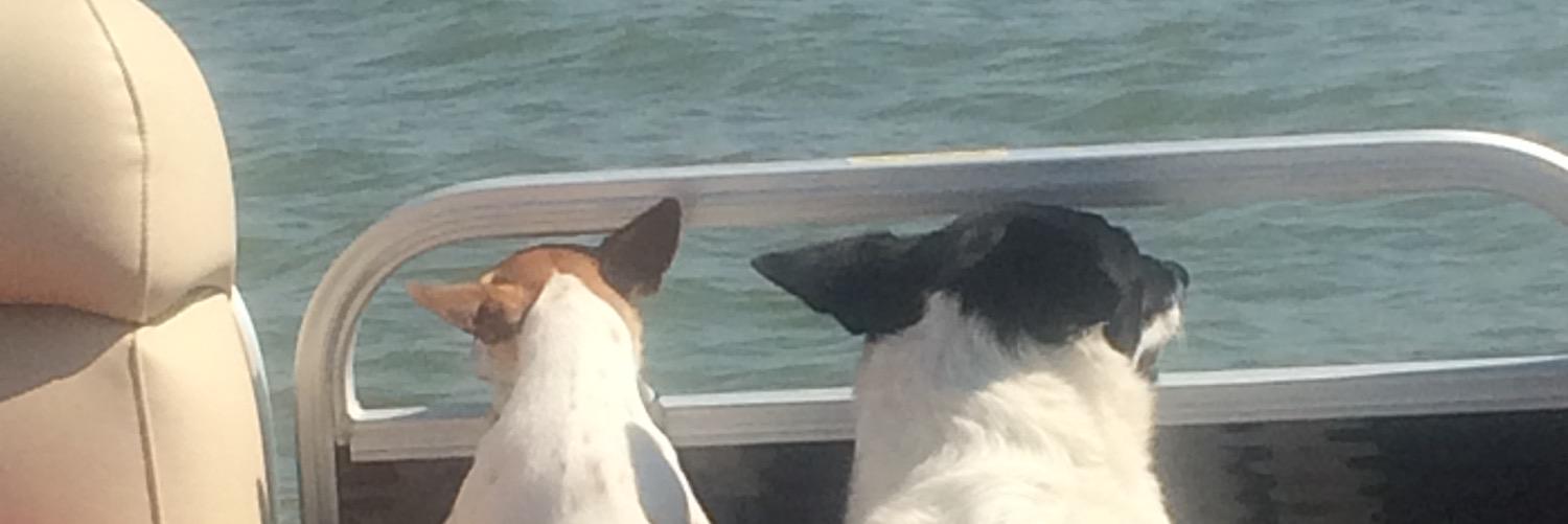 nickann's profile banner image