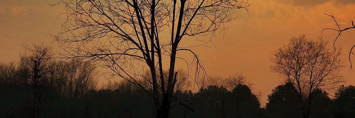 JustN_Lee's profile banner image