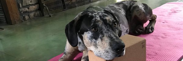 andreacgore Profile Banner