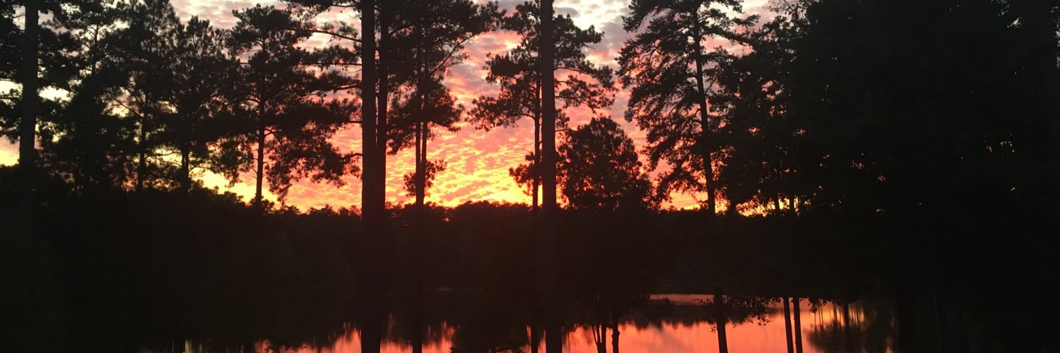 DebLieb1's profile banner image
