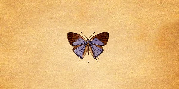 Luza_Doblas's profile banner image