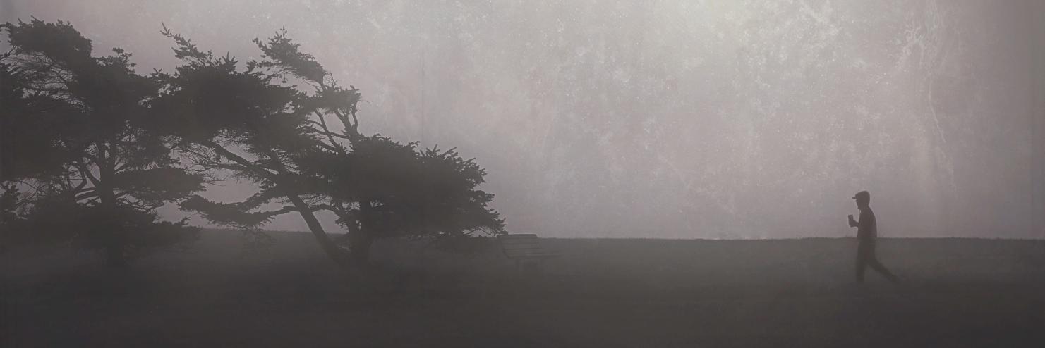 S_A_Photograph's profile banner image
