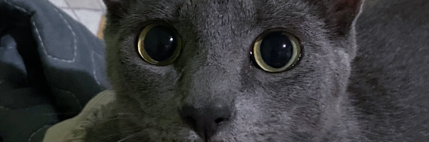 Peresss_'s profile banner image