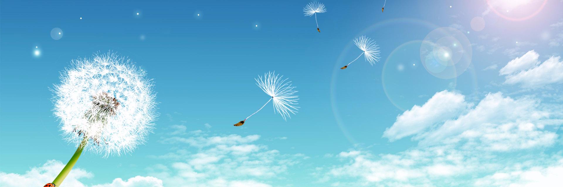 IRetweetforYou_'s profile banner image