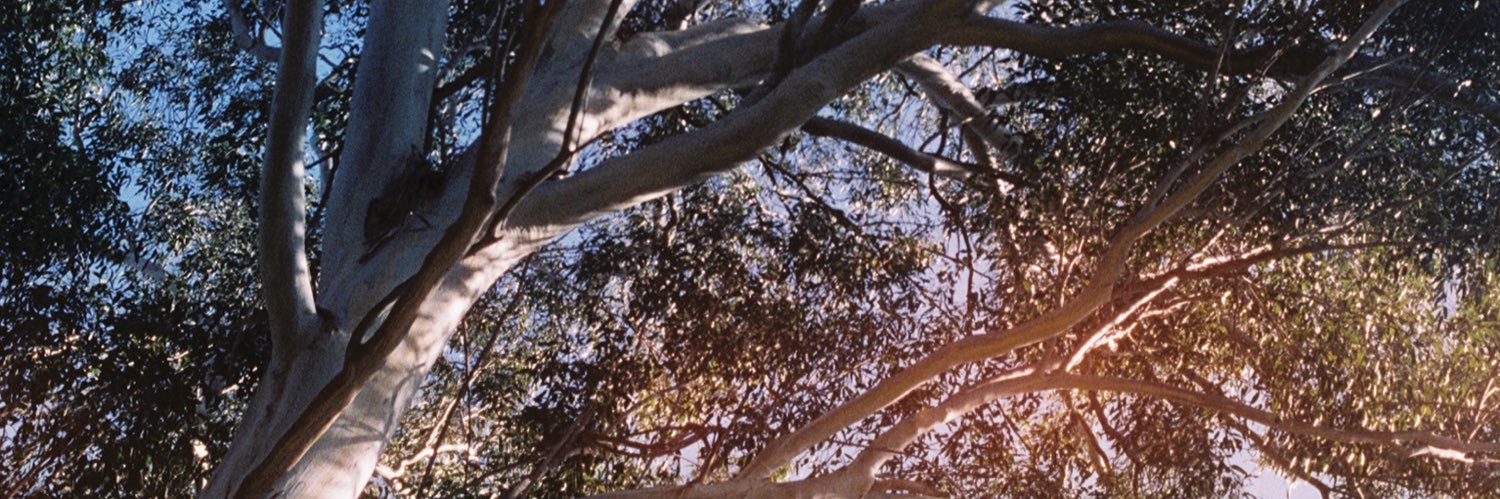 hayvaleri's profile banner image