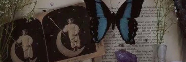 mariposaaaaaaa2's profile banner image