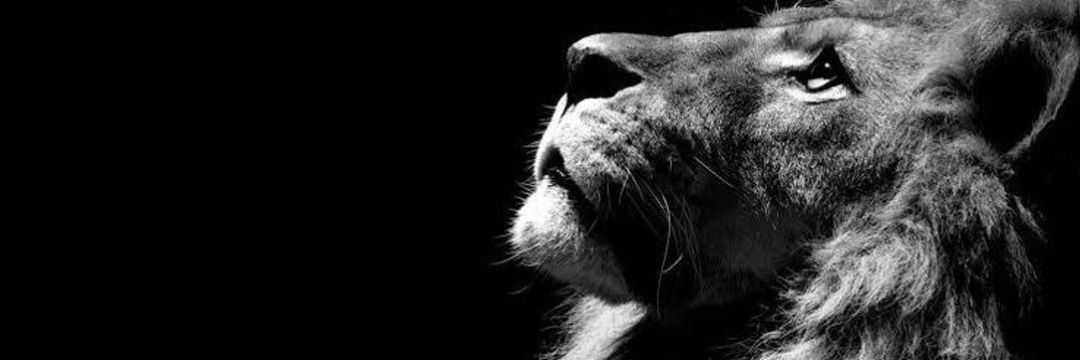 steric585's profile banner image