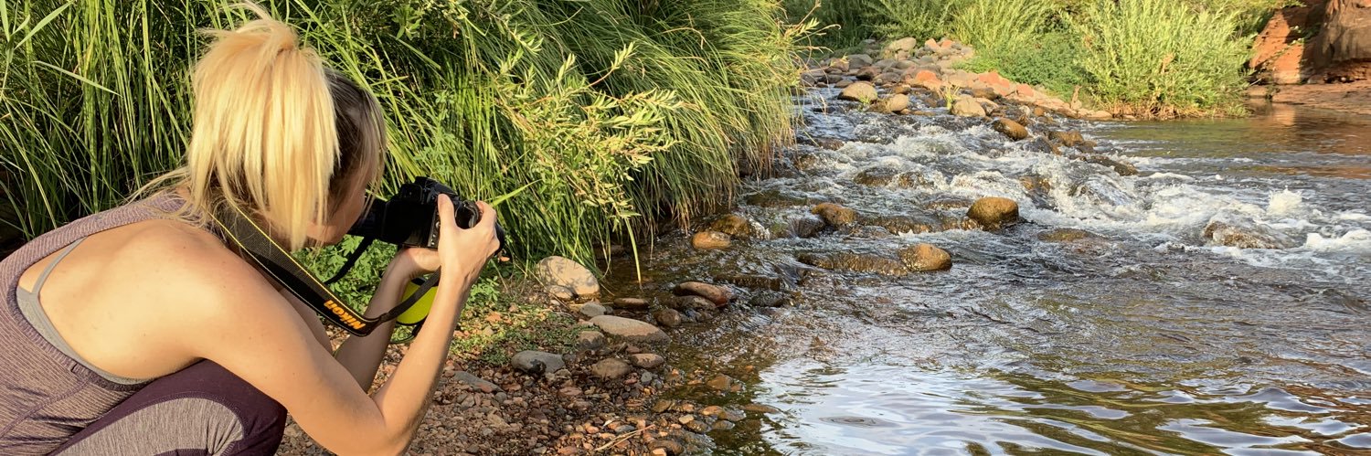 Steve O’Niall banner