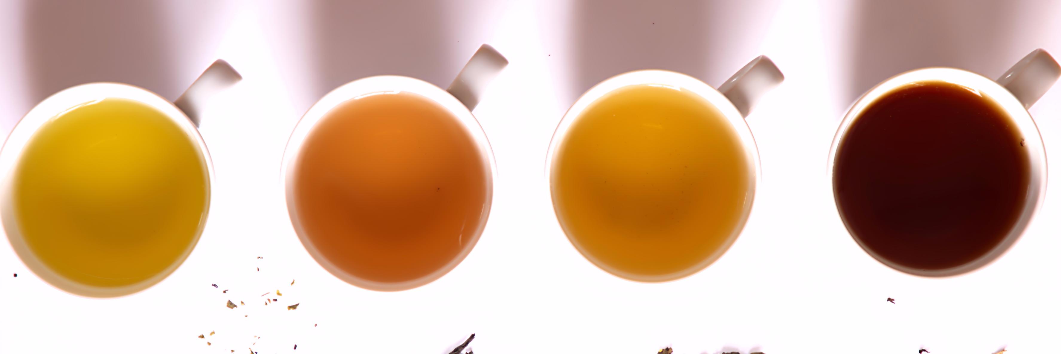 medicinalplanta's profile banner image