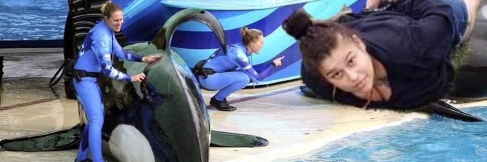 BigLoTheProphet banner