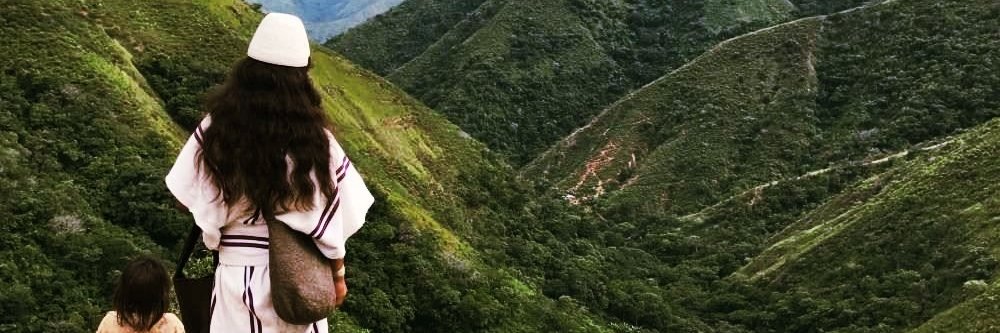 Karolina Argote banner