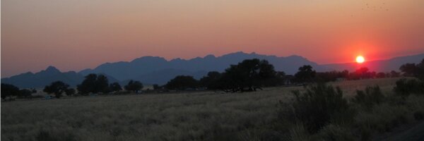 phipster Profile Banner