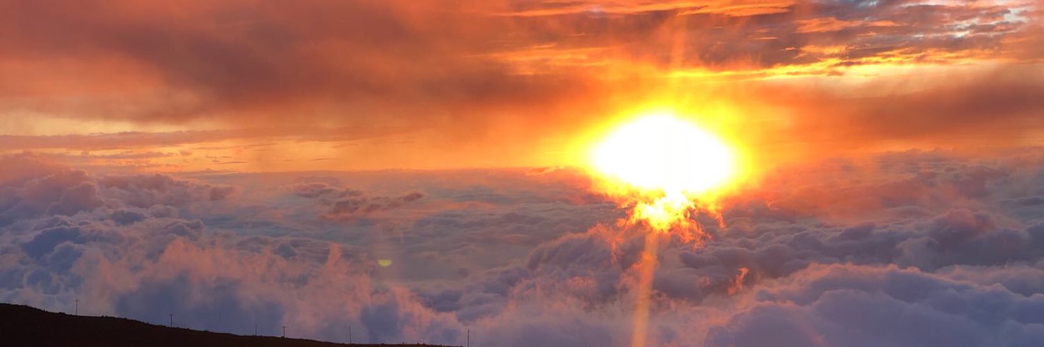 The Bitcoin Shaykh banner