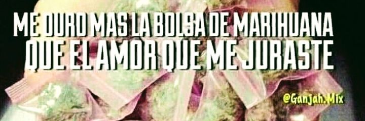 julii_Contii's profile banner image