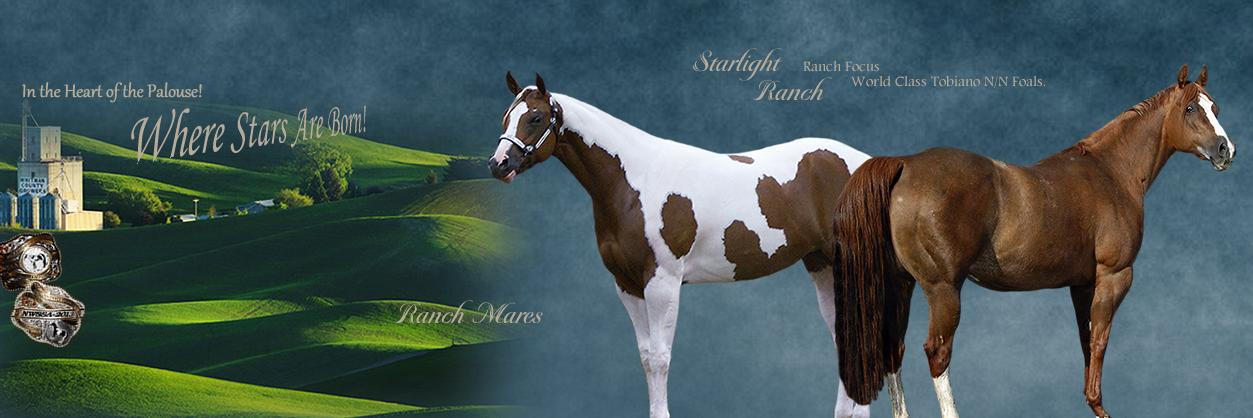 Starlight Ranch banner