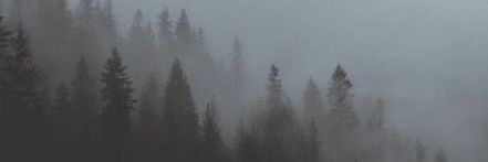 erodrigo6's profile banner image