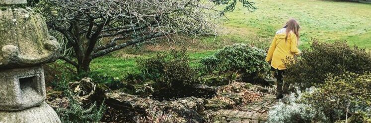 rebeccaharan's profile banner image