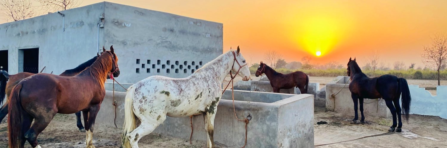 NaulSahb's profile banner image