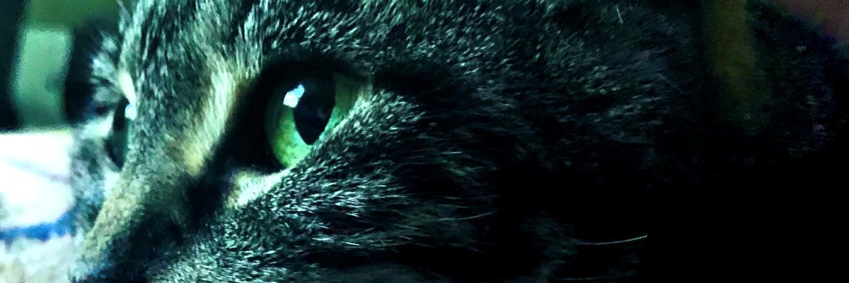 🎙️ David Kemp (MasterDK Productions) 🎸 banner